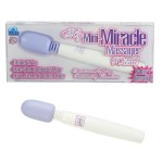 My Mini Massager Wand